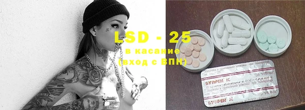 шишки Надым