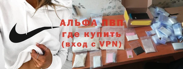шишки Надым