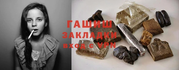 шишки Надым