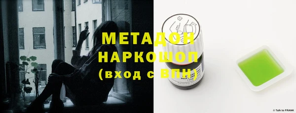 шишки Надым