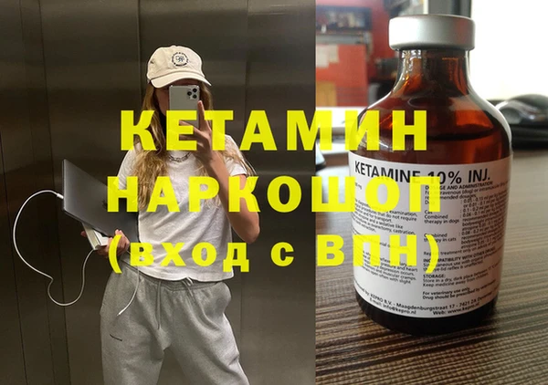 шишки Надым