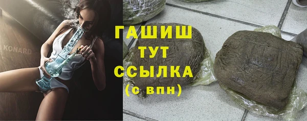 шишки Надым