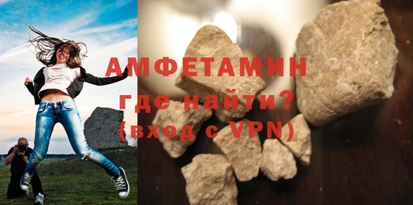 шишки Надым