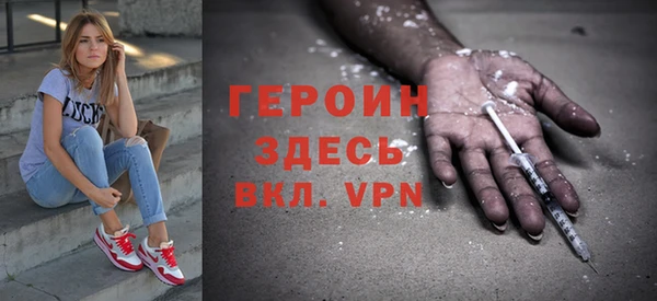 шишки Надым