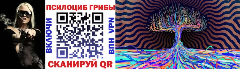 дарнет шоп  Фурманов  Псилоцибиновые грибы MAGIC MUSHROOMS 