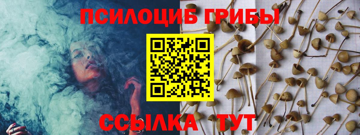 как найти   Галлюциногенные грибы мухоморы  Вход с VPN  Фурманов 