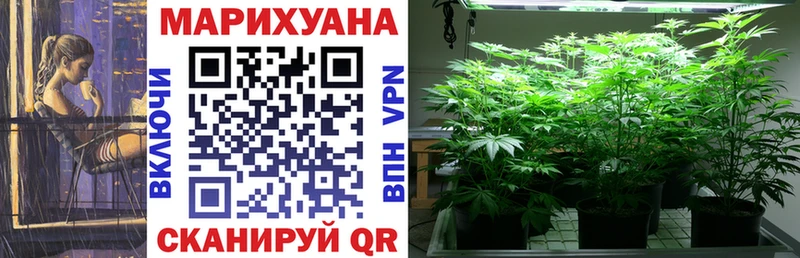 Марихуана OG Kush  Фурманов 